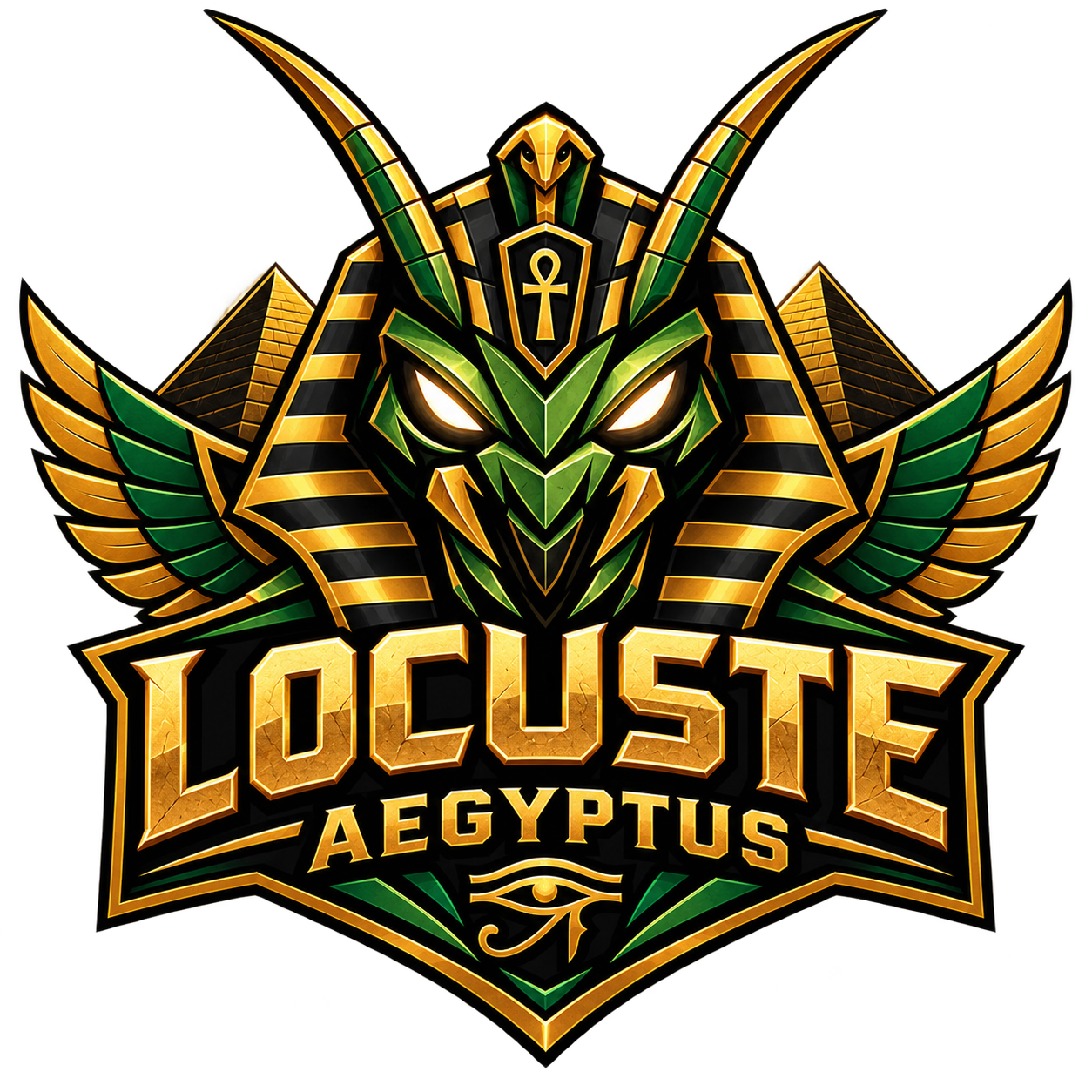 Locuste Locuste Aegyptus